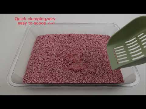 Cát vệ sinh cho mèo làm từ đậu phụ nghiền nát